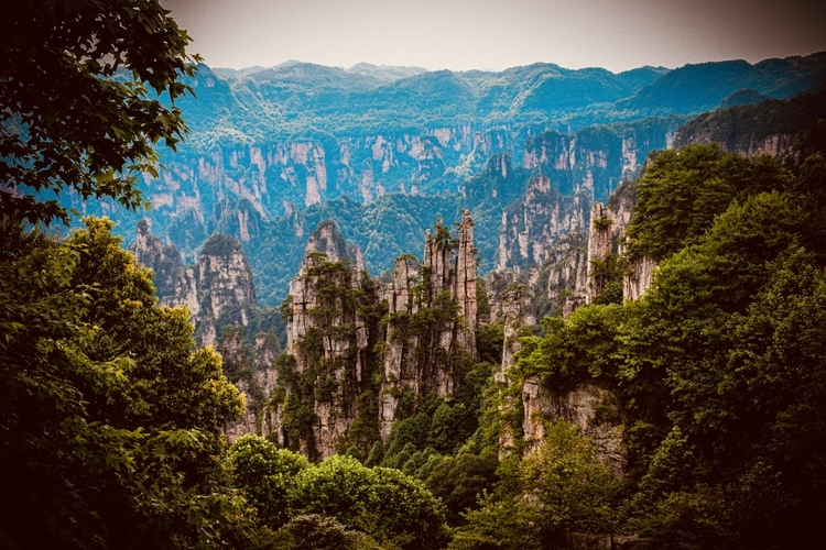 An image from the album: [Zhangjiajie]