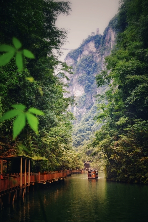 An image from the album: [Zhangjiajie]