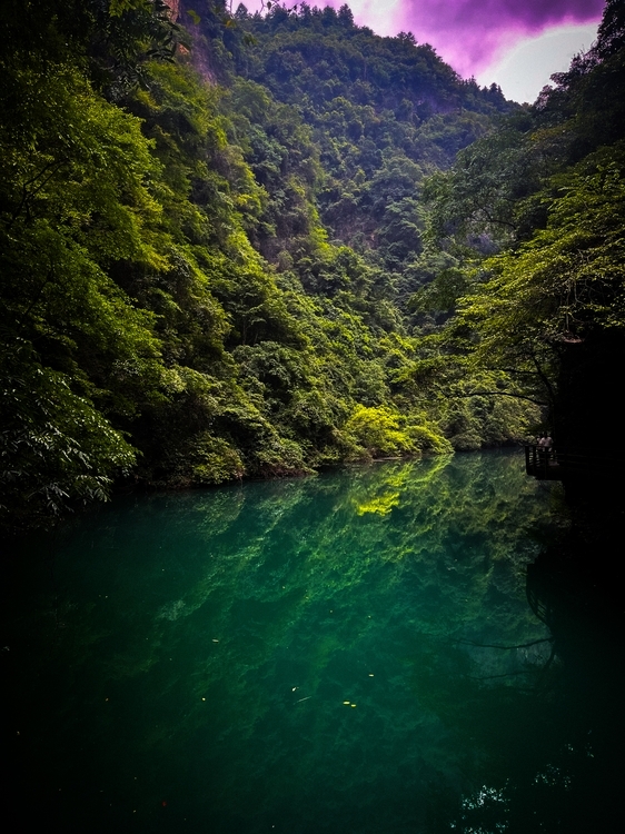 An image from the album: [Zhangjiajie]