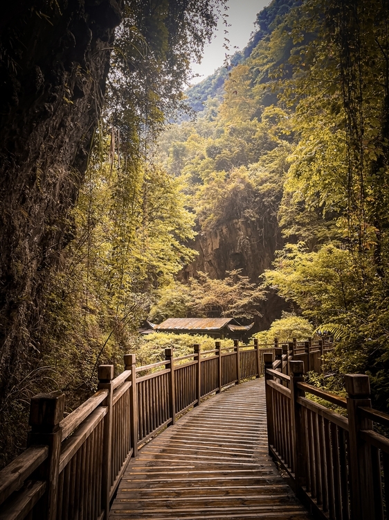 An image from the album: [Zhangjiajie]