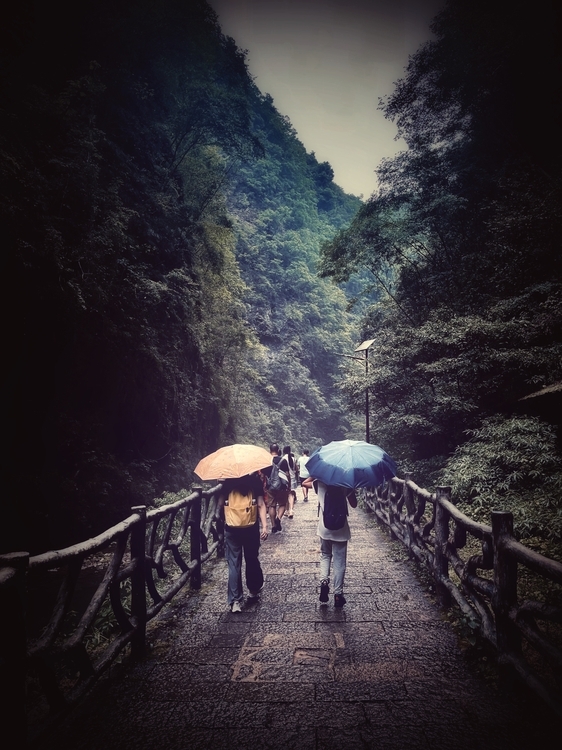 An image from the album: [Zhangjiajie]