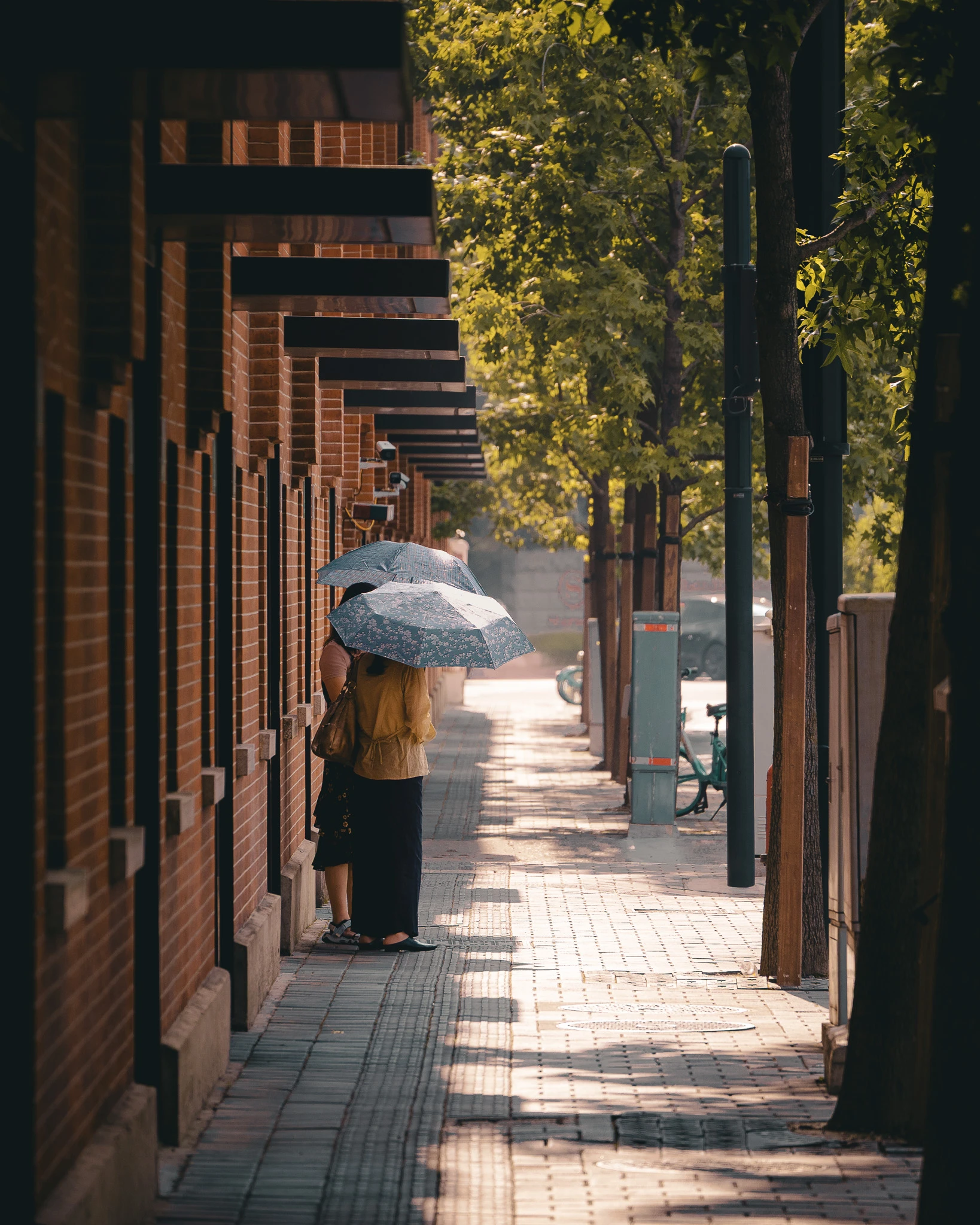From the album: Shanghai