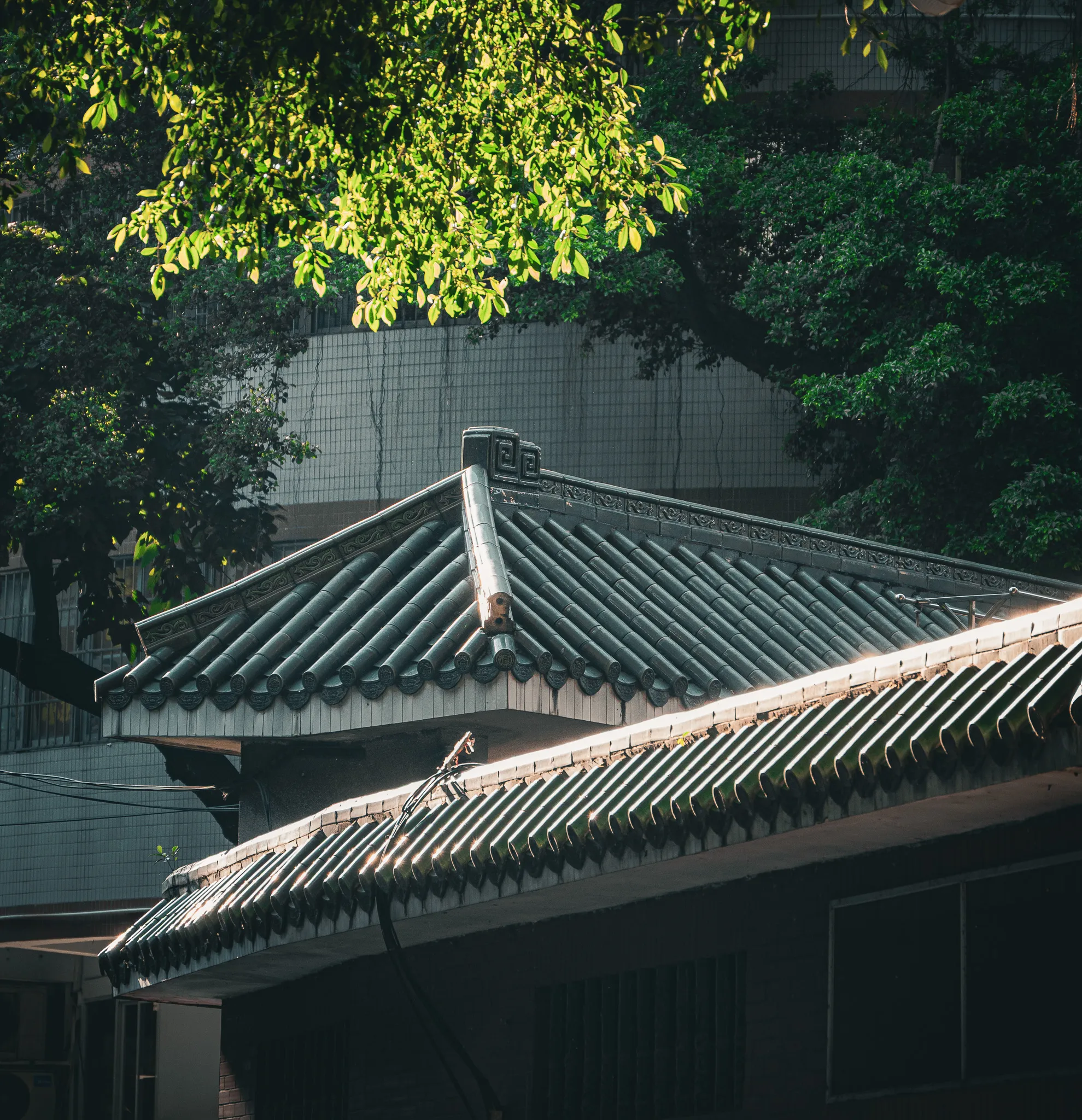 From the album: Guangzhou