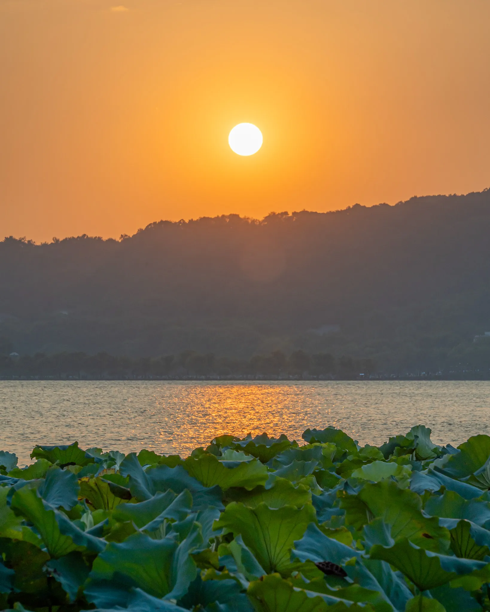 From the album: Hangzhou